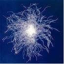 ¿Qué es el plumón natural o Duvet?